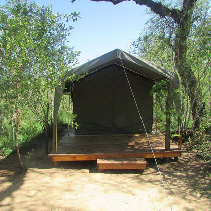 Tent, Architecture, Mzsingitana Tented Camp, Manyeleti Reserve, Manyeleti Reserve