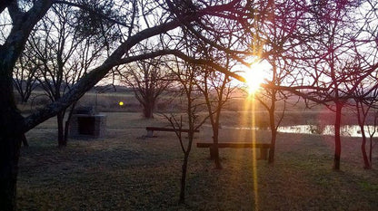 Na Na Be Lodge Magaliesburg Gauteng South Africa Fog, Nature, Tree, Plant, Wood, Cemetery, Religion, Grave, Framing, Sunset, Sky