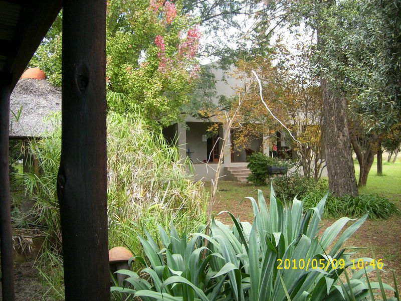 Na Na Be Historic Guest Farm Magaliesburg Gauteng South Africa Plant, Nature, Garden