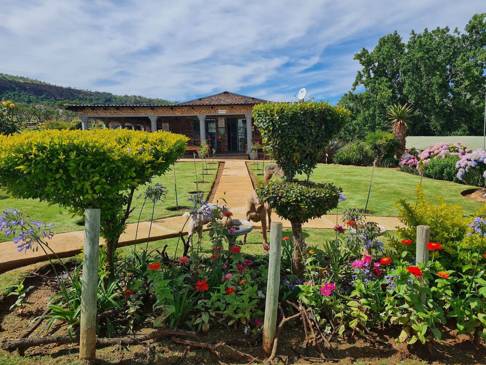 Naauwpoort Lodge Lydenburg Mpumalanga South Africa Complementary Colors, House, Building, Architecture, Garden, Nature, Plant