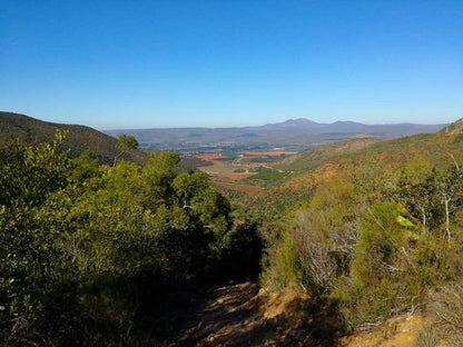 Naguiltjiekloof Patensie Eastern Cape South Africa Complementary Colors, Nature