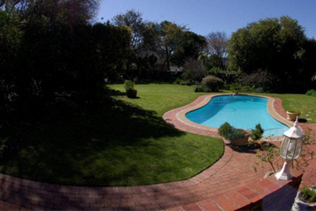 Nahoon Lodge Constantia Cape Town Western Cape South Africa Garden, Nature, Plant, Swimming Pool