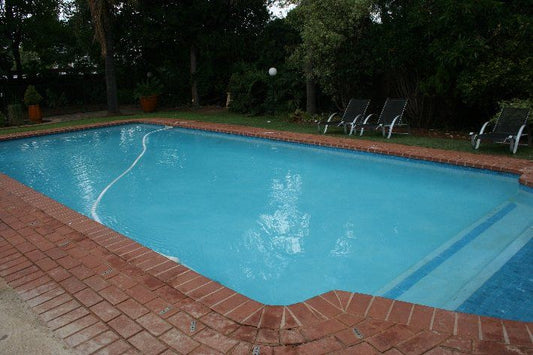 Naledi Guest House Arcadia Pretoria Tshwane Gauteng South Africa Swimming Pool