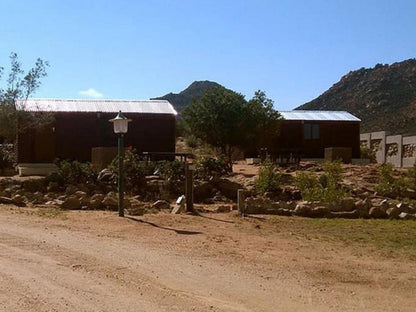 Namastat Lodge And Caravan Park Springbok Northern Cape South Africa Complementary Colors, Cactus, Plant, Nature