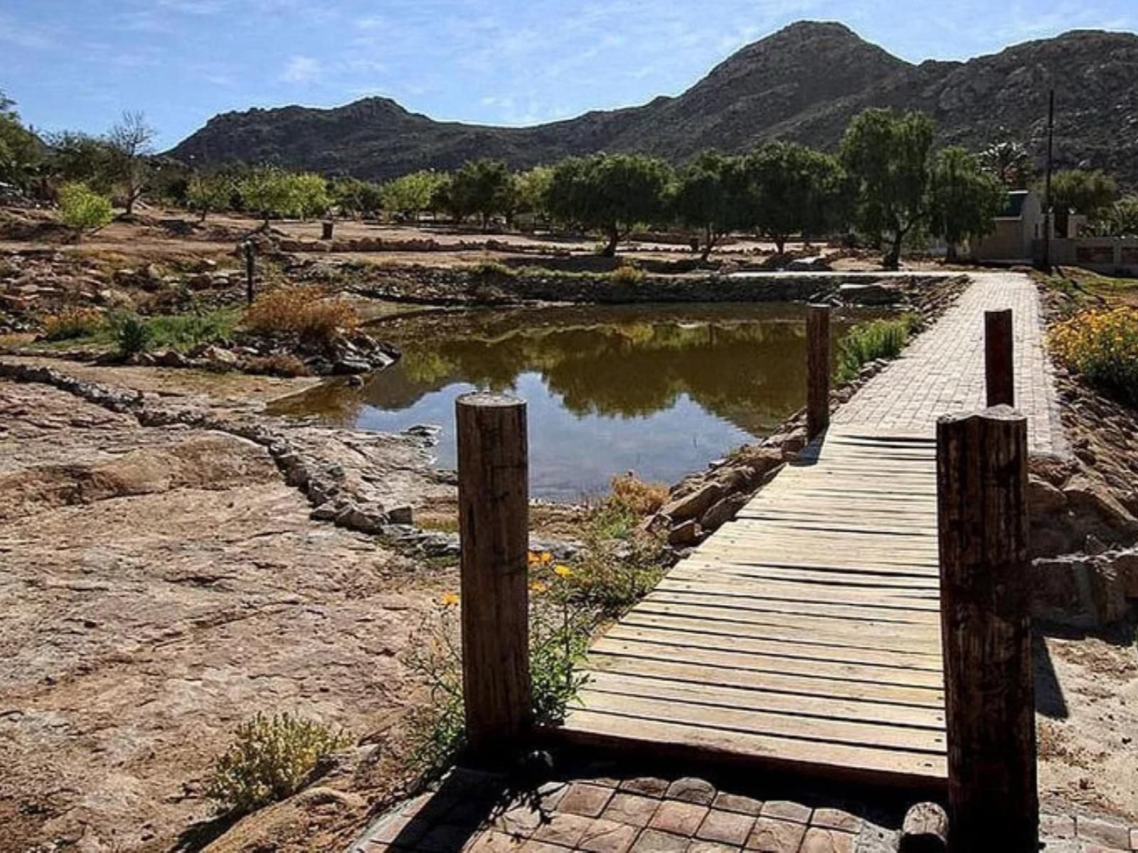 Namastat Lodge And Caravan Park Springbok Northern Cape South Africa Nature