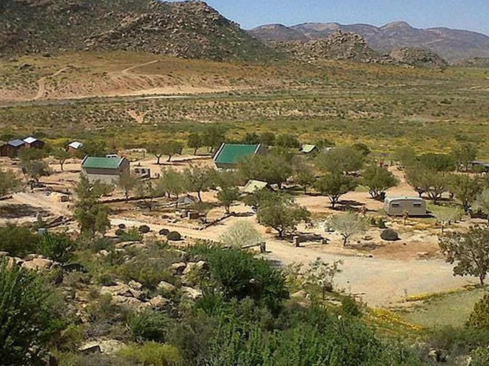 Namastat Lodge And Caravan Park Springbok Northern Cape South Africa Cactus, Plant, Nature, Desert, Sand