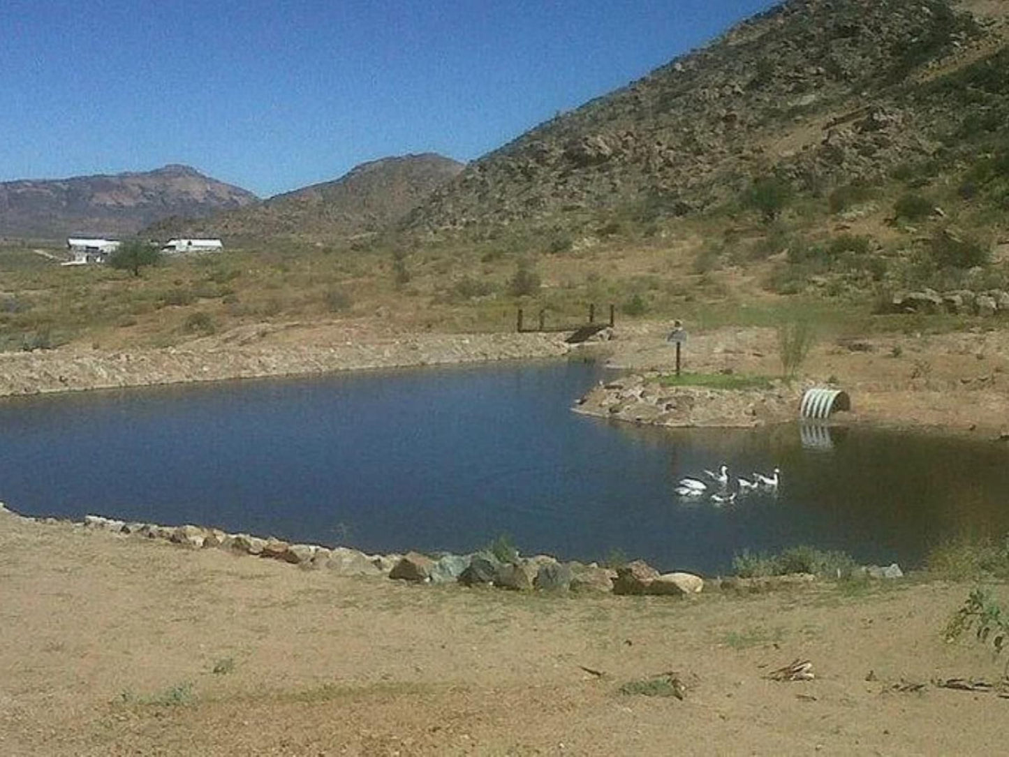 Namastat Lodge And Caravan Park Springbok Northern Cape South Africa Cactus, Plant, Nature, Lake, Waters, Desert, Sand