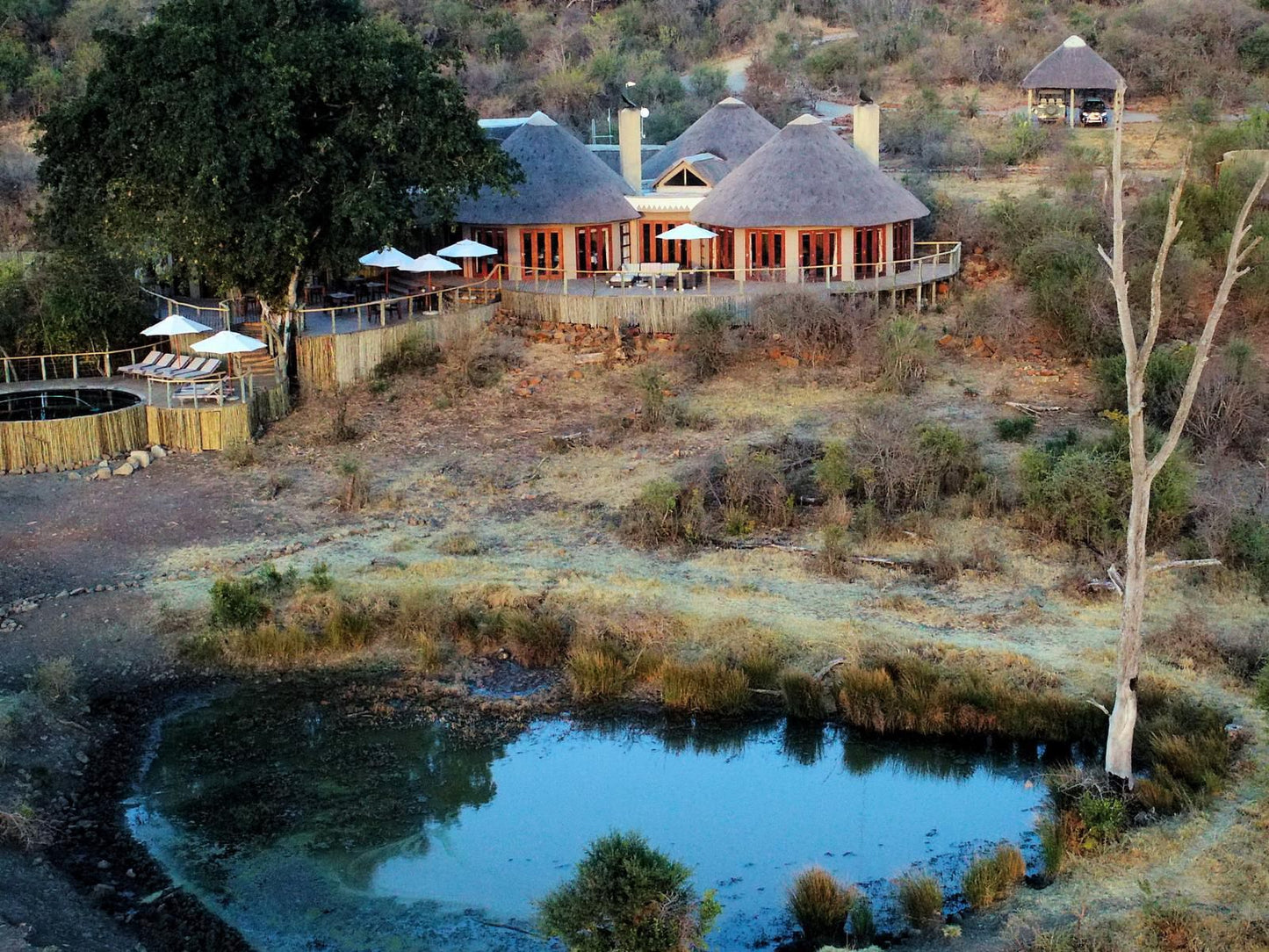 Nambiti Plains Private Game Lodge Nambiti Private Game Reserve Ladysmith Kwazulu Natal Kwazulu Natal South Africa 