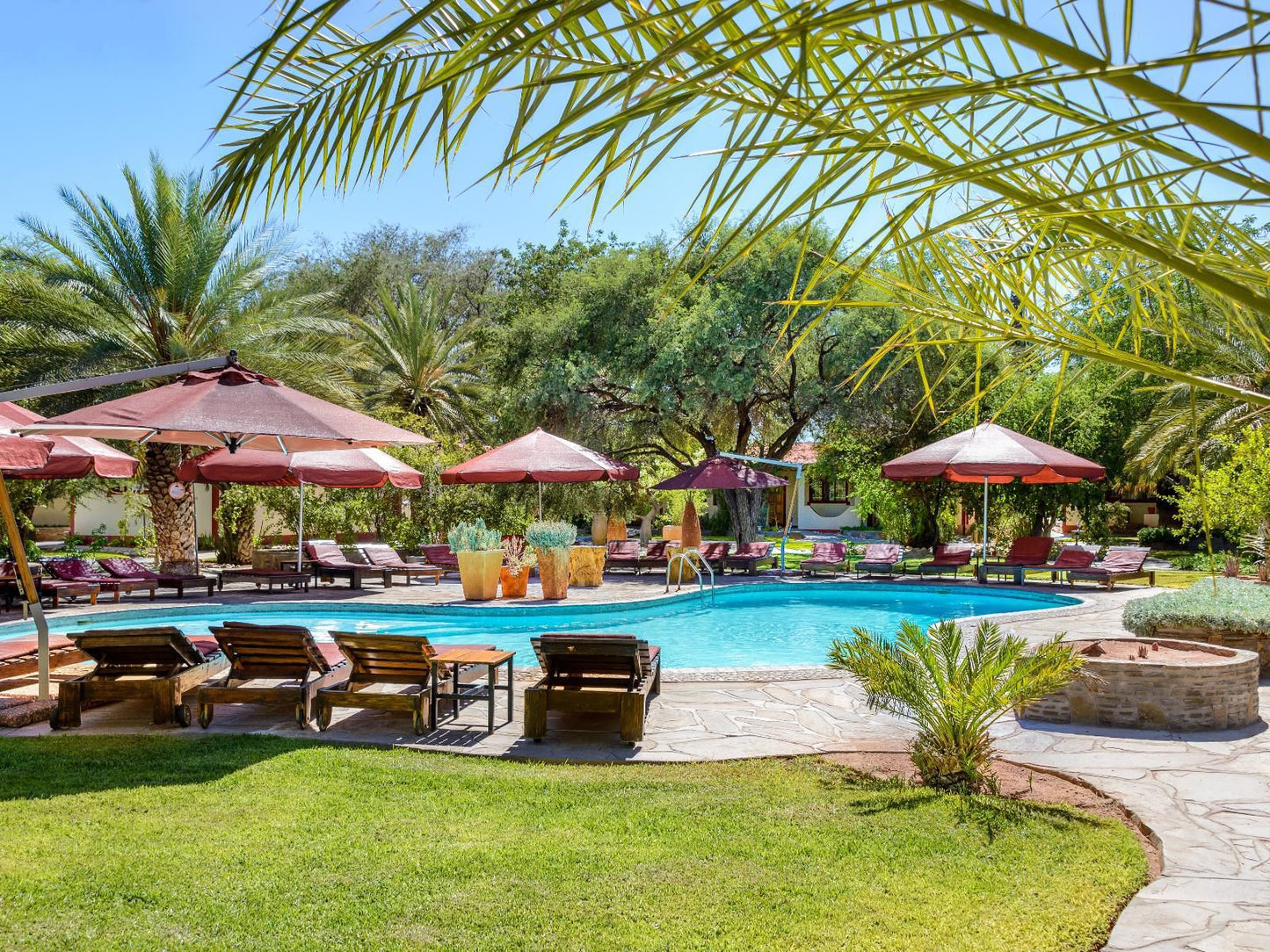 Namib Desert Lodge, Gondwana Collection Namibia, Palm Tree, Plant, Nature, Wood, Swimming Pool