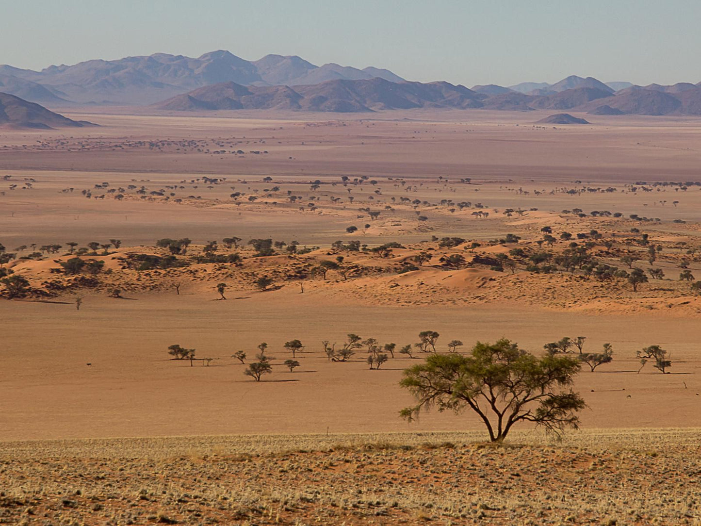 Namibrand Family Hideout, Desert, Nature, Sand, Lowland