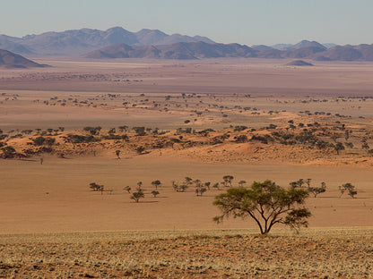 Namibrand Family Hideout, Desert, Nature, Sand, Lowland