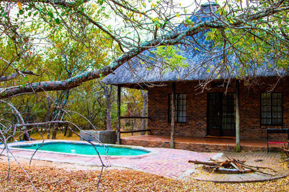 Nanisto Bush Lodge Marloth Park Mpumalanga South Africa 
