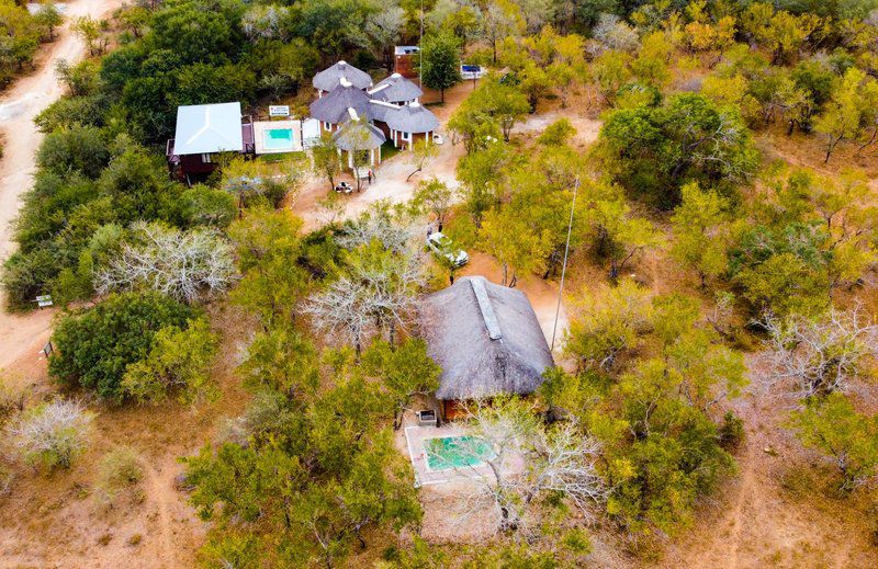 Nanisto Bush Lodge Marloth Park Mpumalanga South Africa Colorful