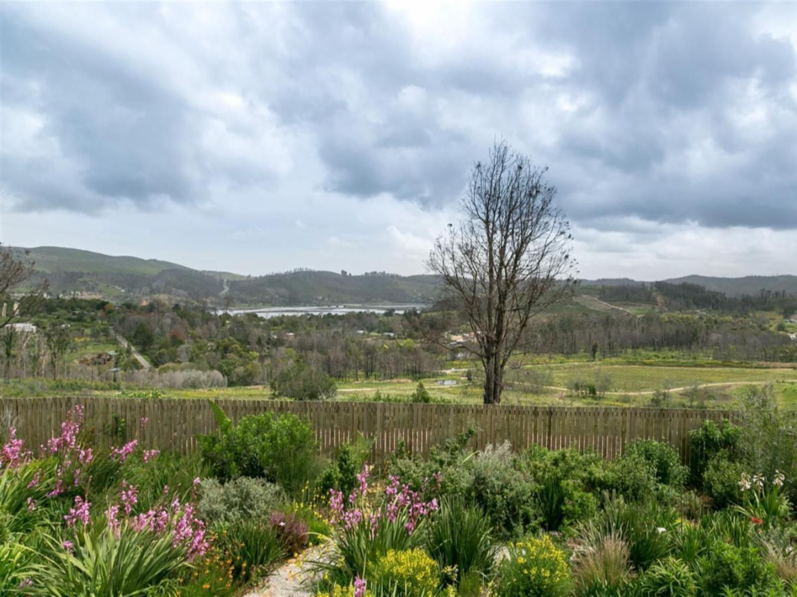 Narnia Guest House Narnia Knysna Western Cape South Africa Complementary Colors, Garden, Nature, Plant, Highland