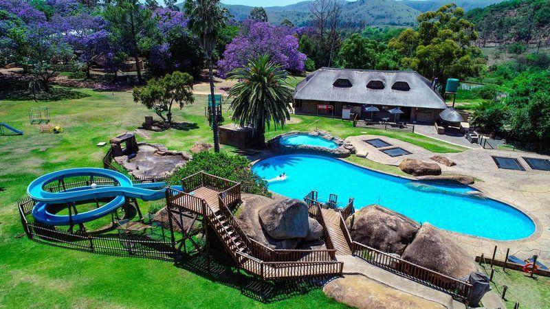 Natal Spa Falcon Crest Self Catering Vryheid Kwazulu Natal South Africa Palm Tree, Plant, Nature, Wood, Garden, Swimming Pool