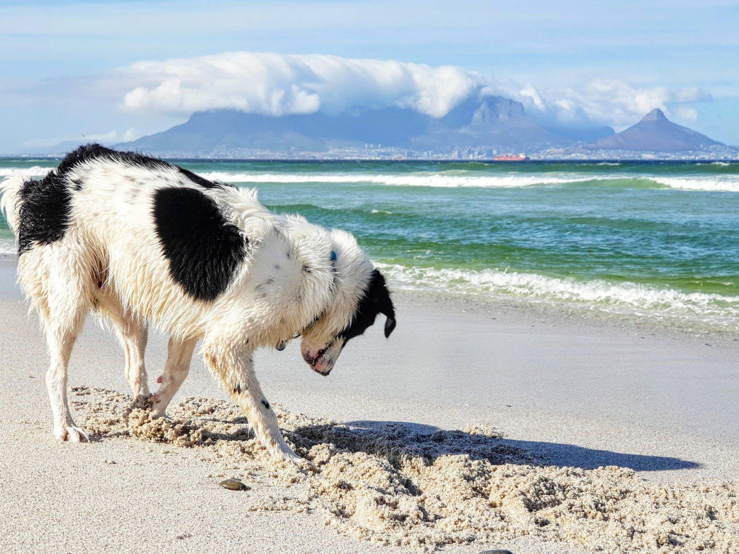 Bloubergstrand Beach