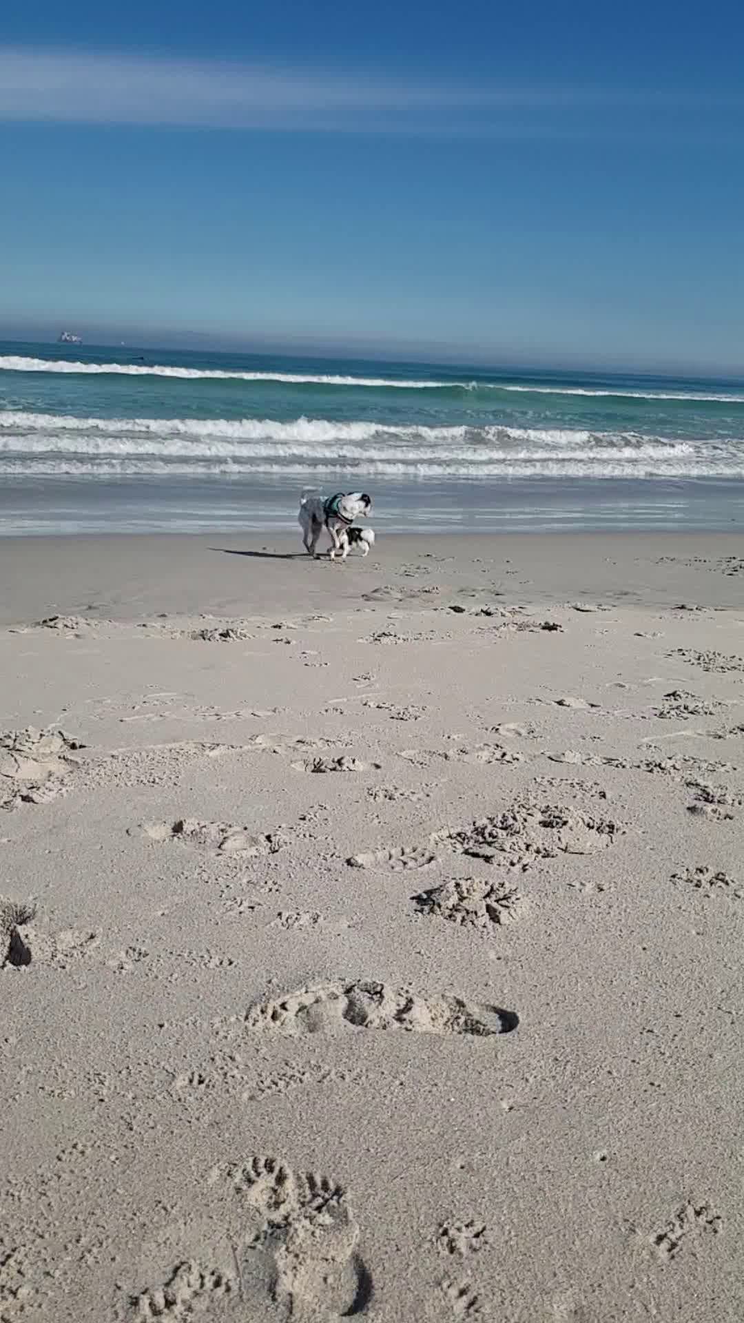 Blouberg Beachfront