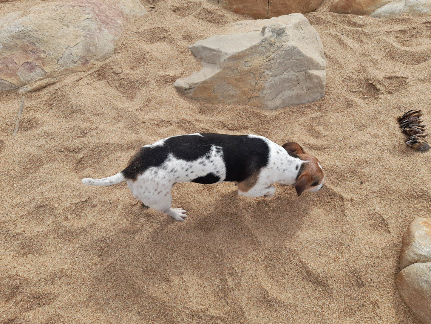 Hibberdene Beach