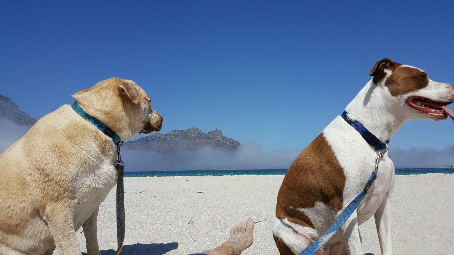 Hout Bay Beach