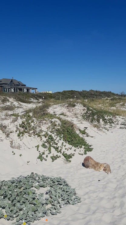 Kommetjie Public Beach