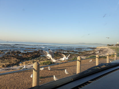 Mouille Point Beach