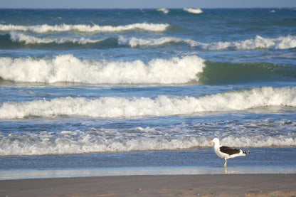 Aston Bay Beach