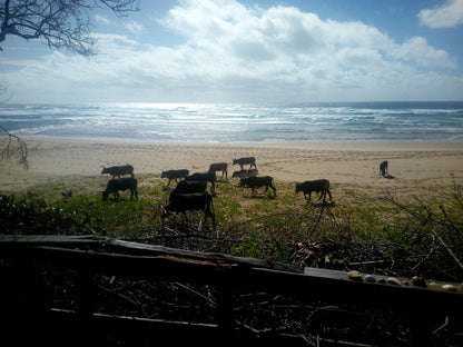 Black Rock Beach