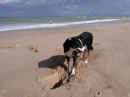 Aston Bay Beach