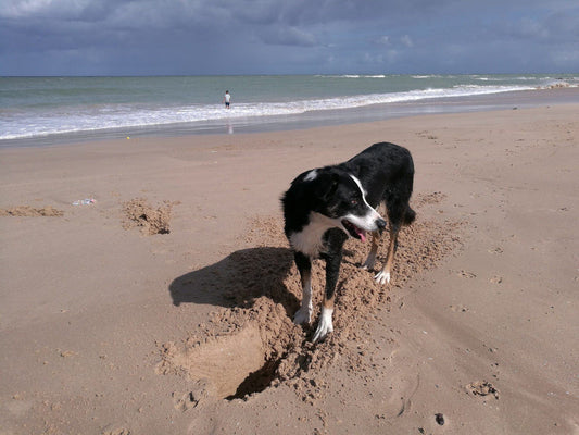 Aston Bay Beach