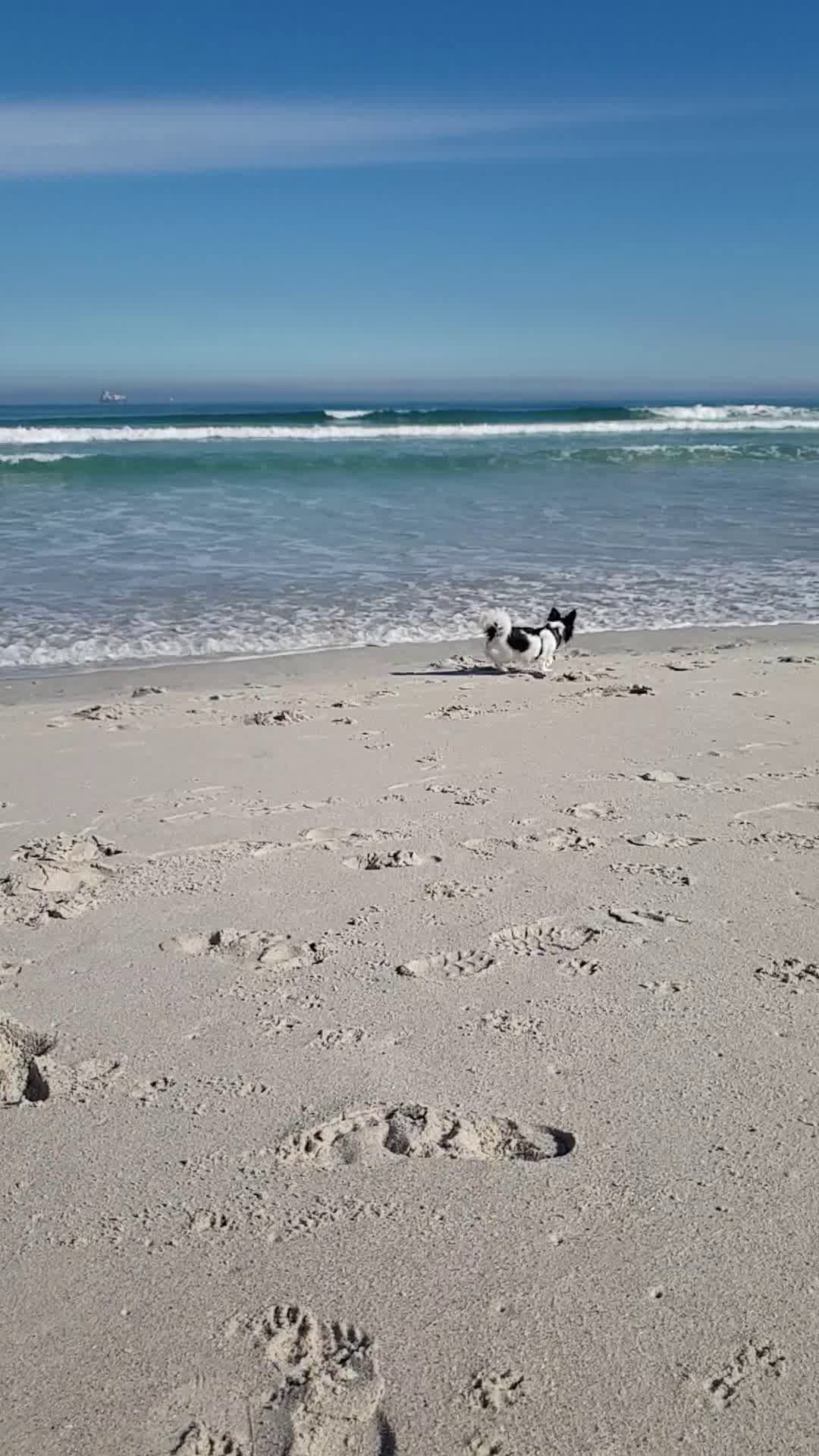 Blouberg Beachfront