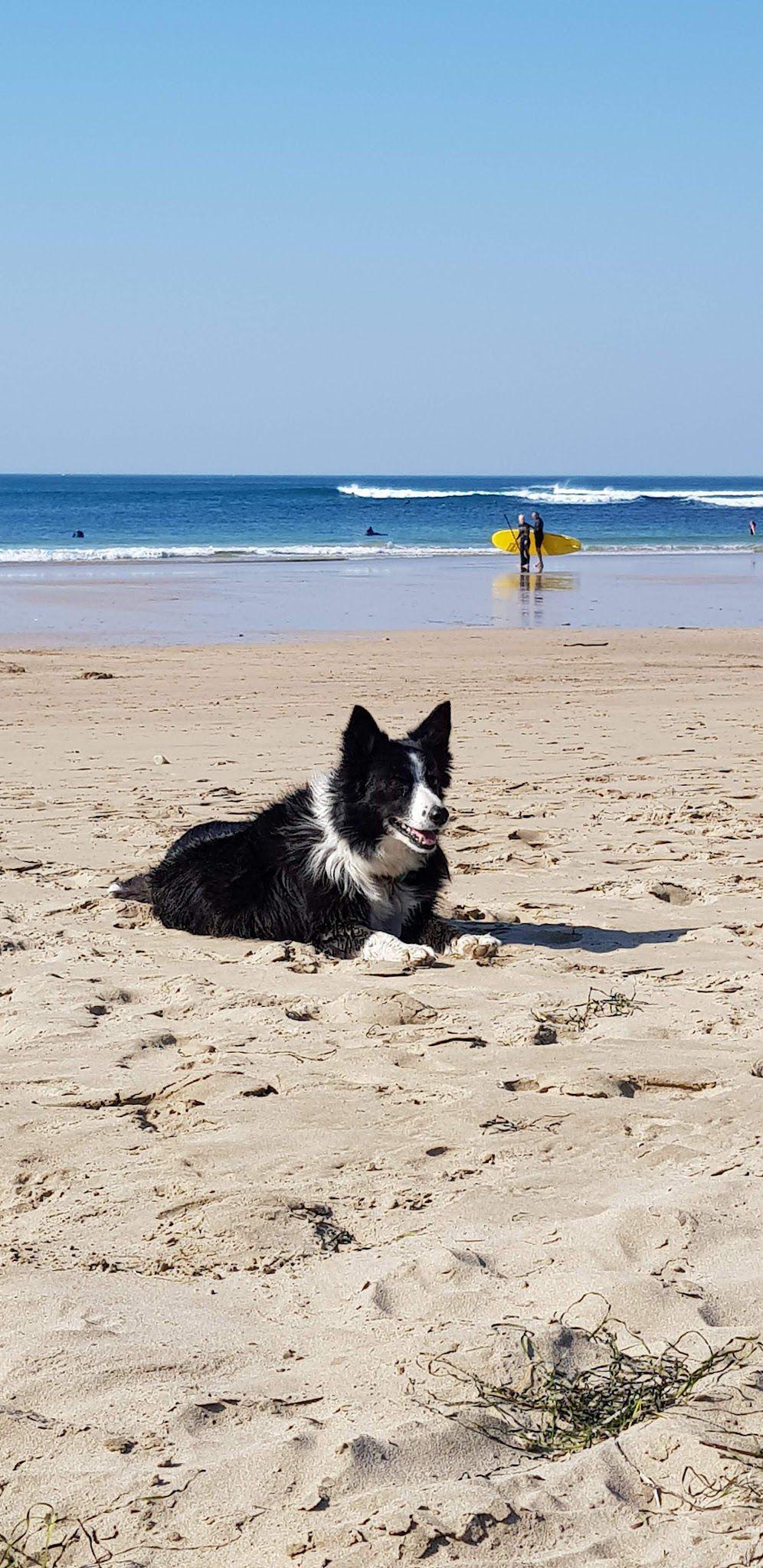 Buffalo Bay Beach