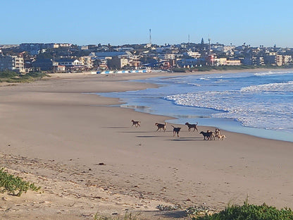 Jeffreys Bay Main Beach