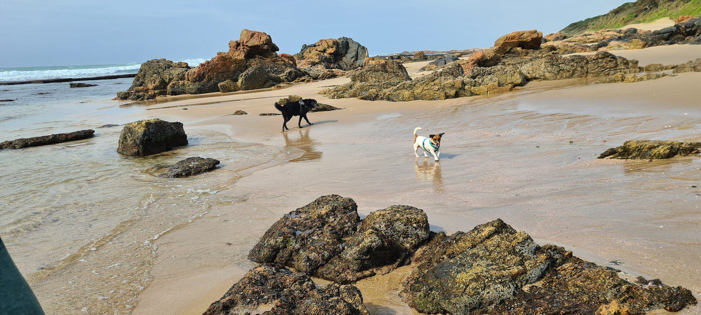 Munster Beach