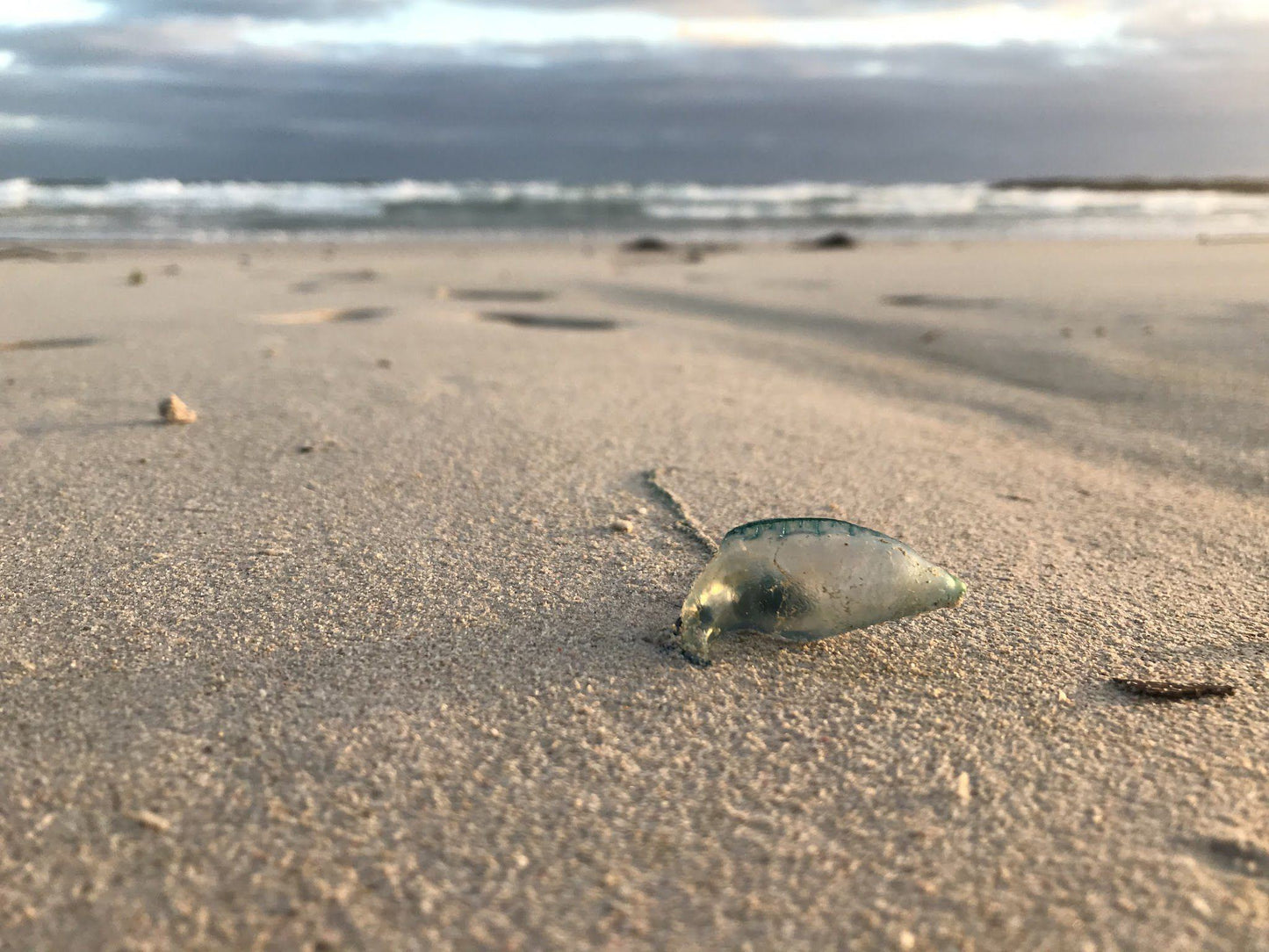 Silver Sands Beach