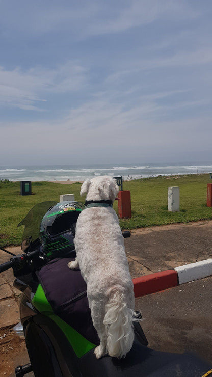 St Winifred's Beach