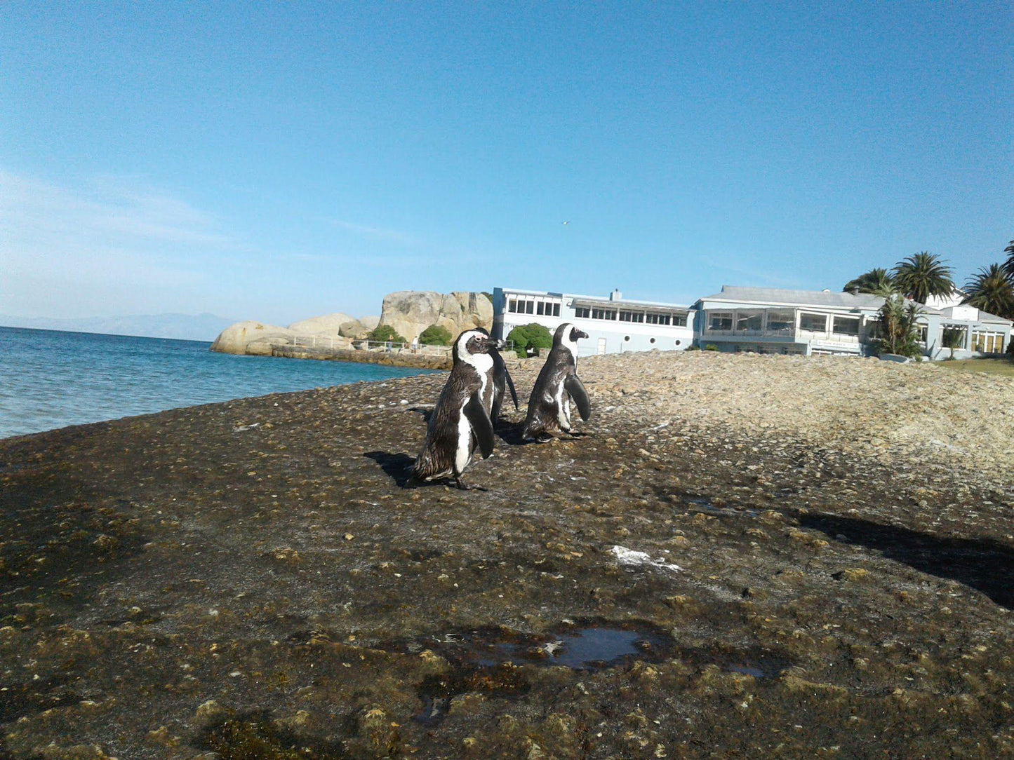 Seaforth Beach