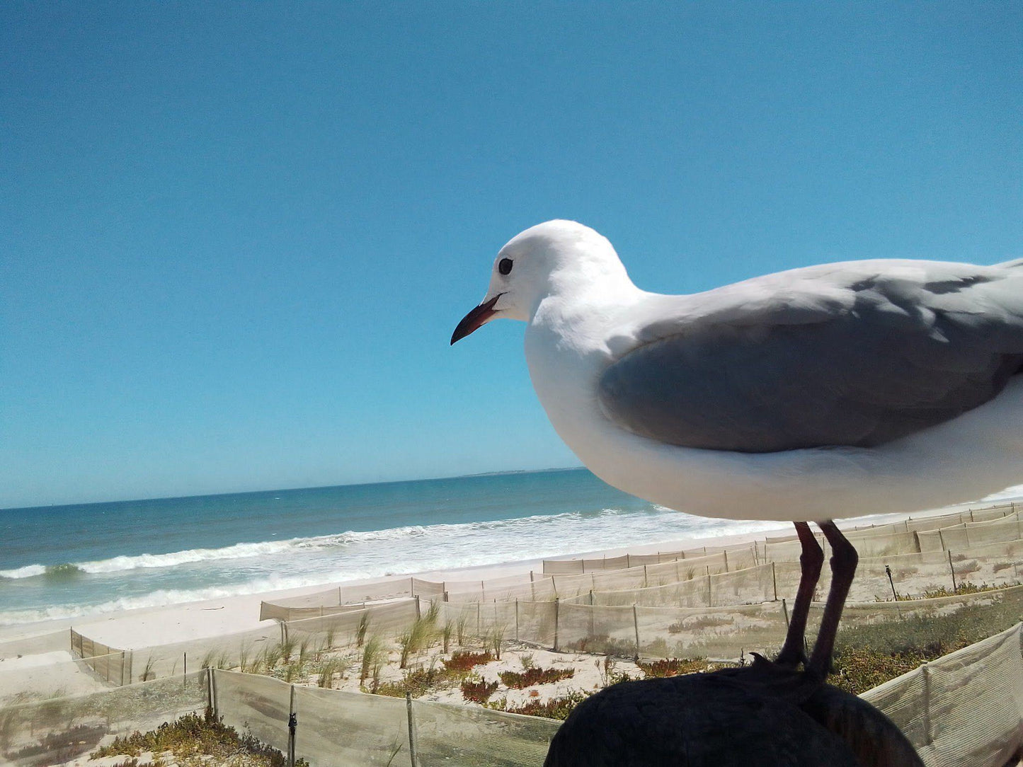 Bloubergstrand Beach