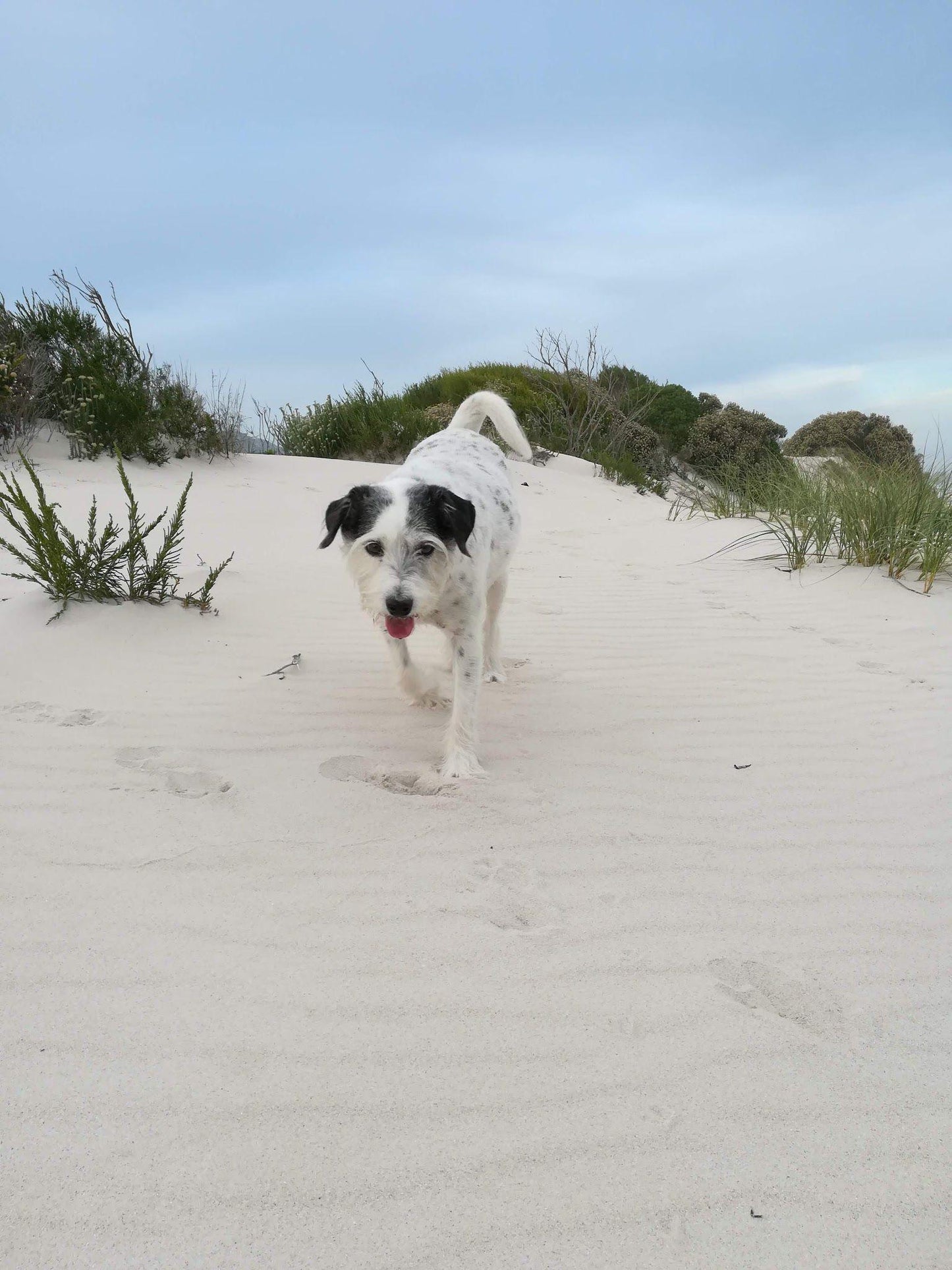 Silver Sands Beach