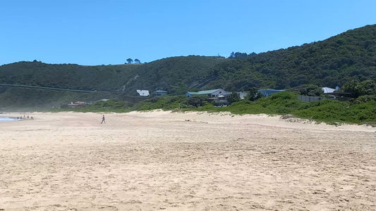 wilderness beach front