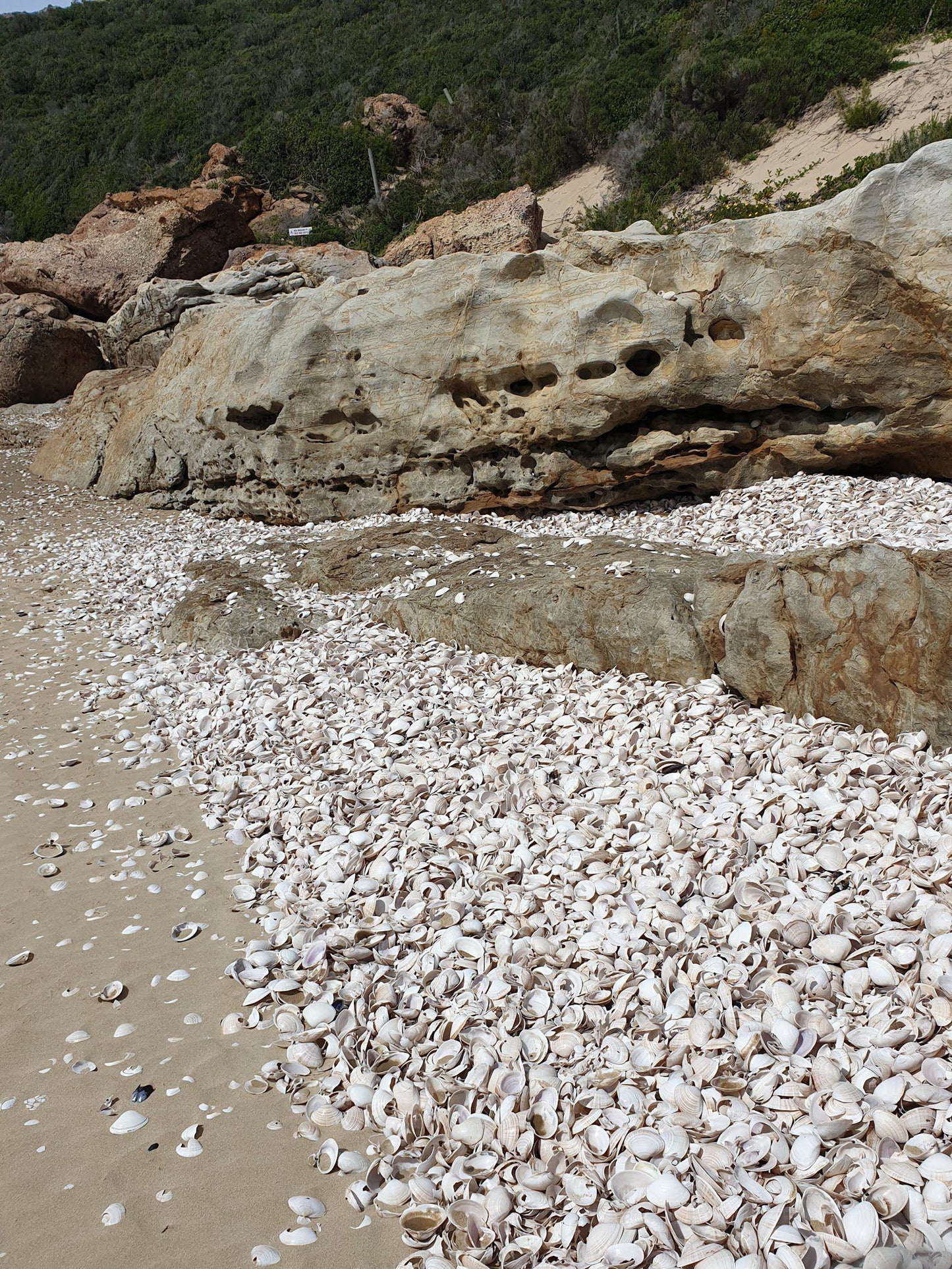 The Wreck Beach