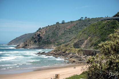 wilderness beach front