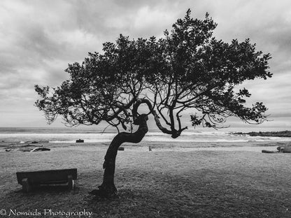 Hibberdene Beach