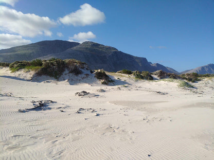 Silver Sands Beach