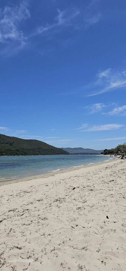 Bollards Bay Beach