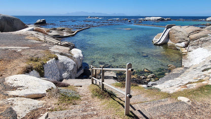 Miller’s Point Tidal Pool