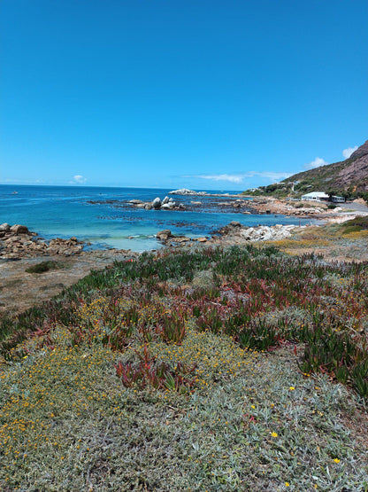 Miller’s Point Tidal Pool