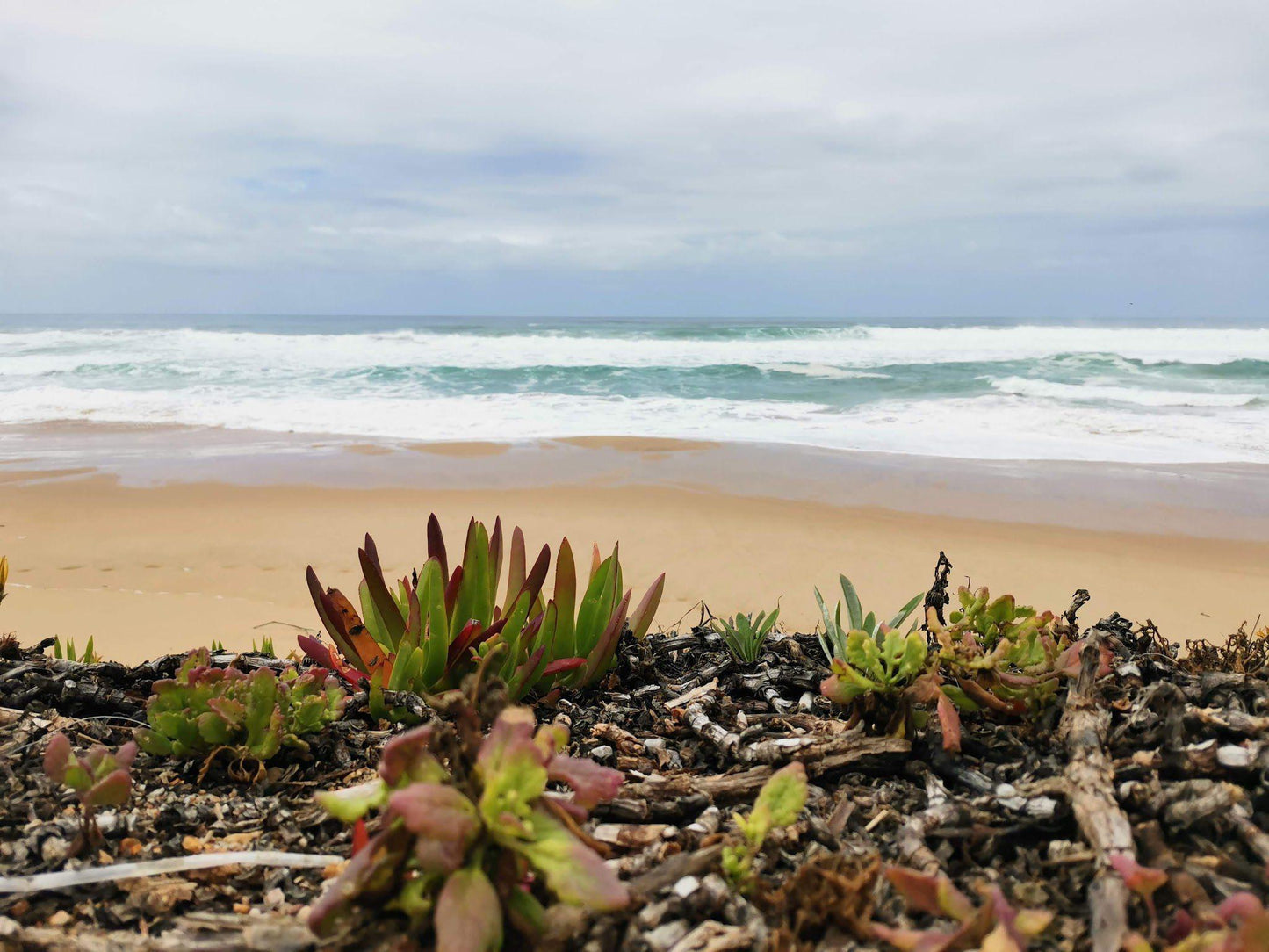 1st Beach