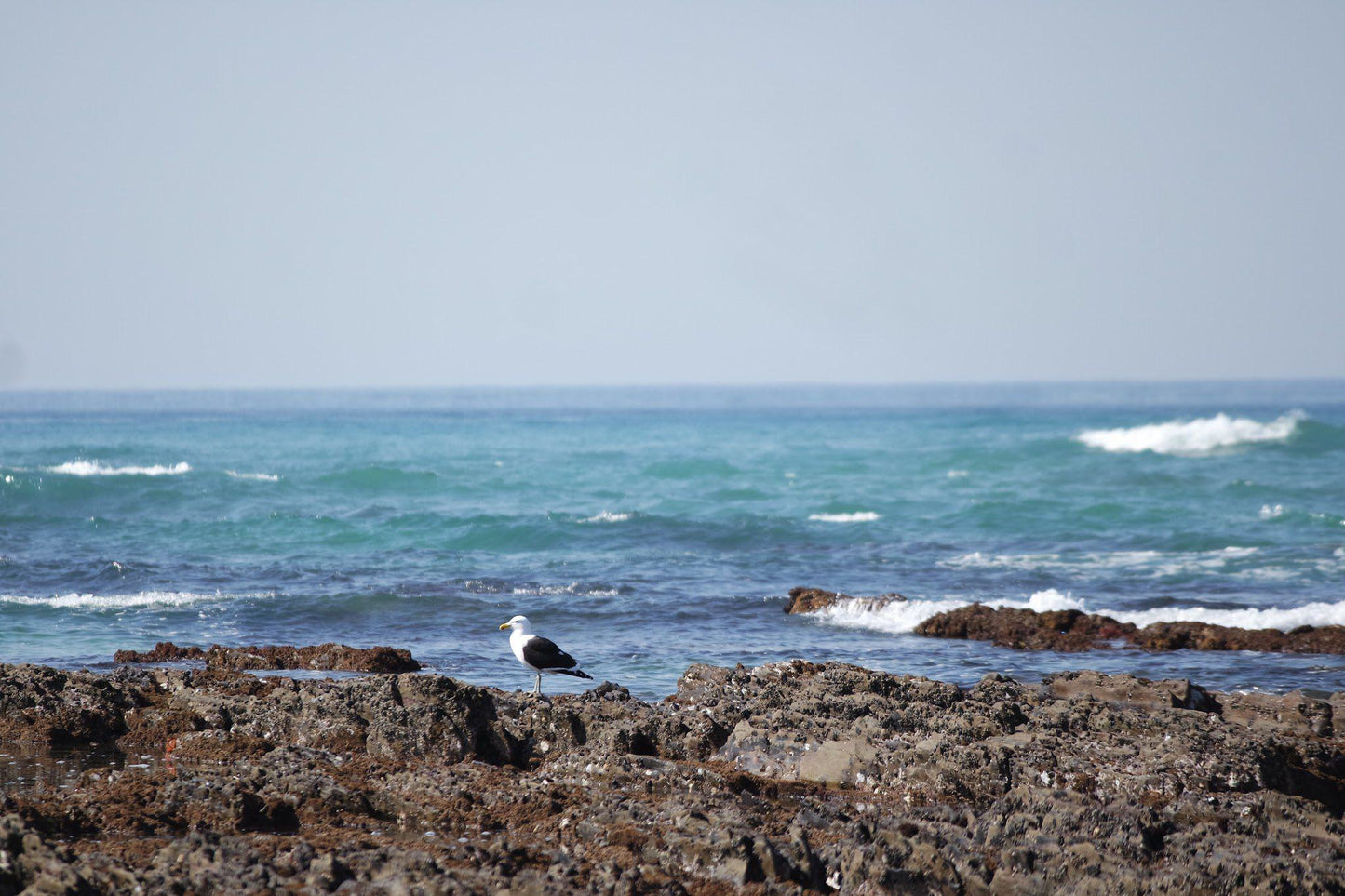 Aston Bay Beach