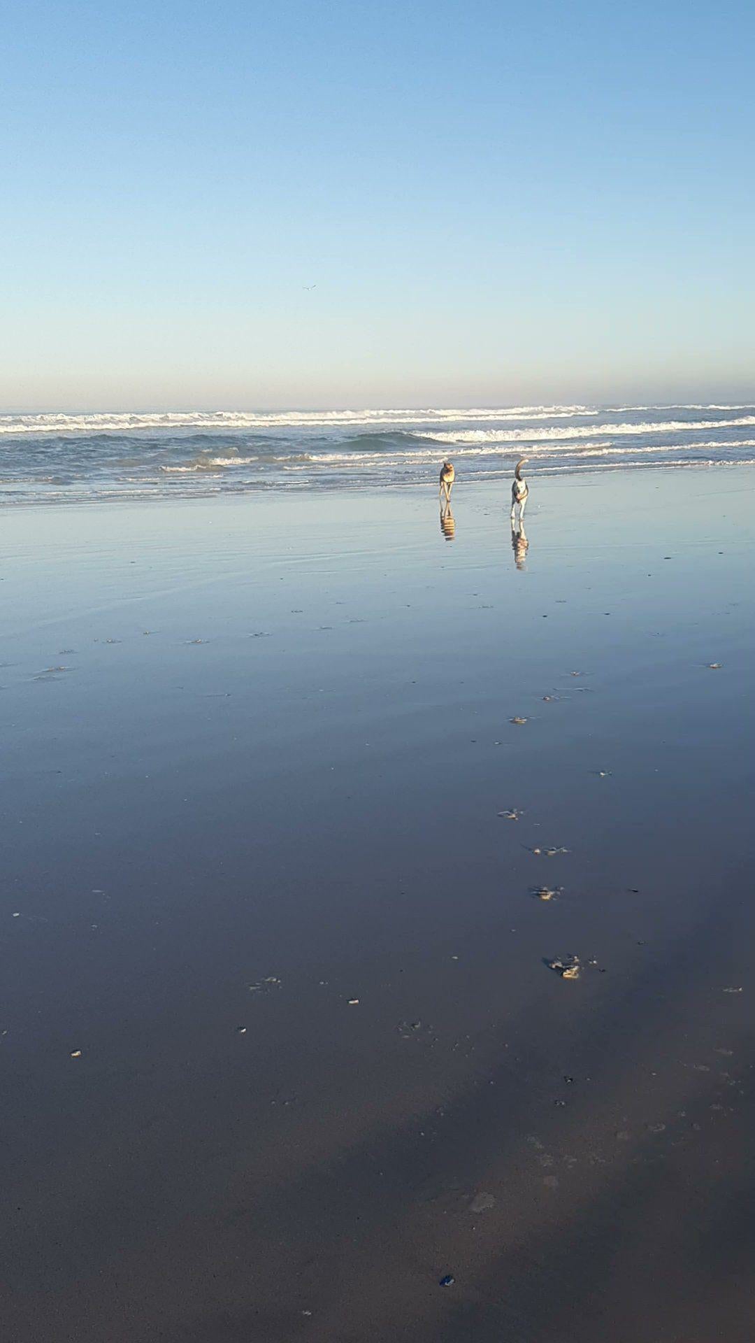 Bloubergstrand Beach