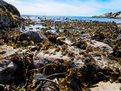 Fisherman's Beach